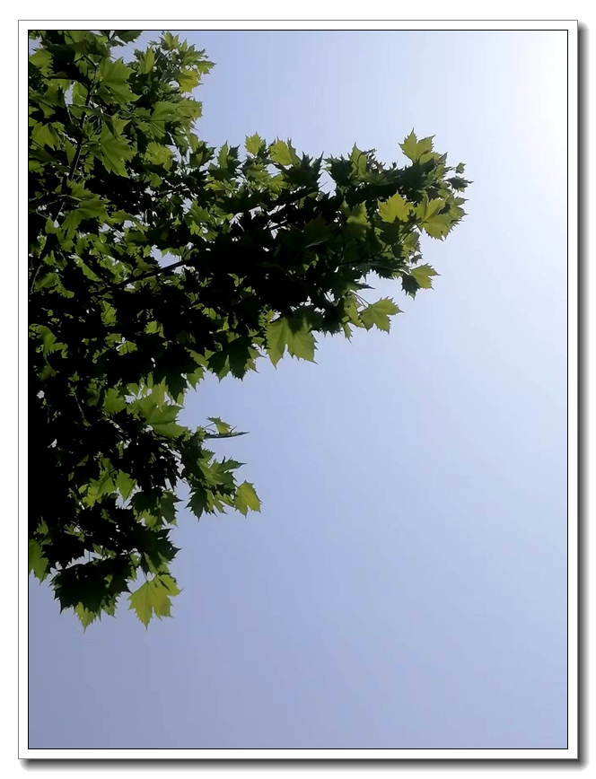 ΢��ͼƬ_20260515190458.jpg