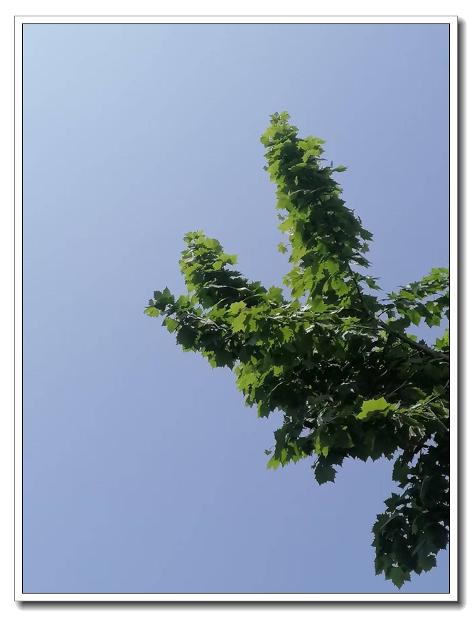 ΢��ͼƬ_20260515190501.jpg