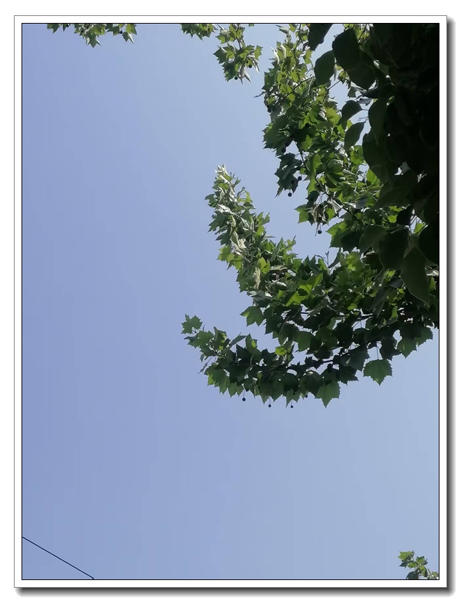 ΢��ͼƬ_20260515190505.jpg