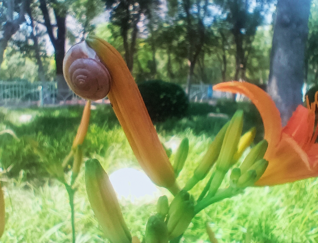 Screenshot_2026-06-03-12-37-34-29_99c04817c0de5652397fc8b56c3b3817.jpg