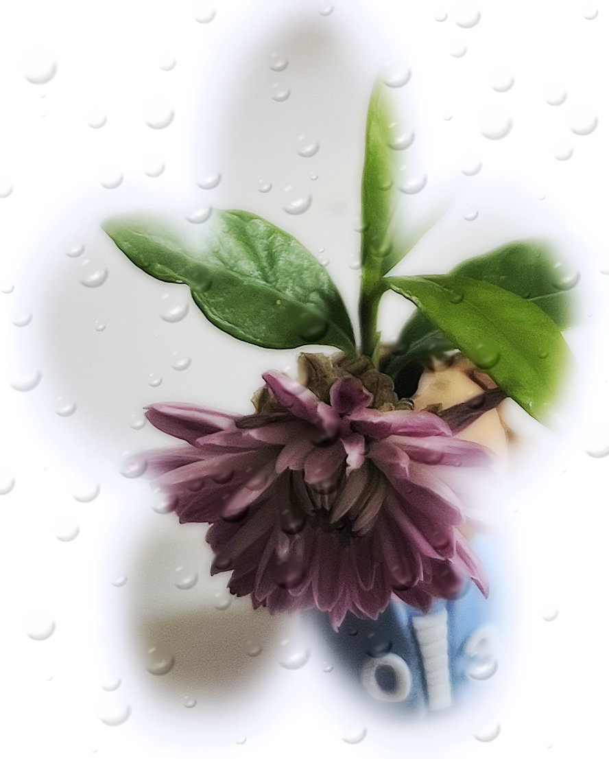 ΢��ͼƬ_202606031033222_����.jpg