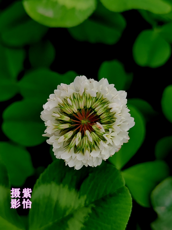 075142wuf77yefojf76e9v.jpg