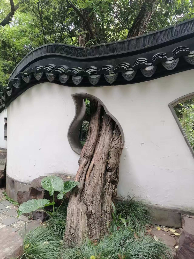 ΢��ͼƬ_20260604083029.jpg