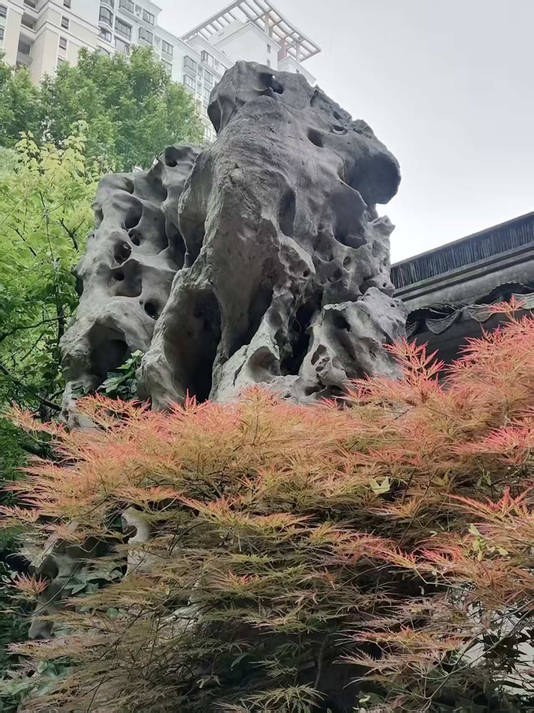 ΢��ͼƬ_20260604083053.jpg