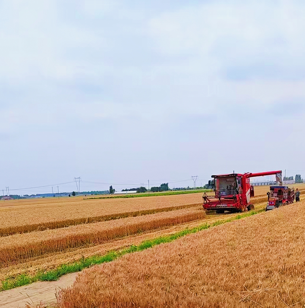 MEITU_20260605_121922628.jpg