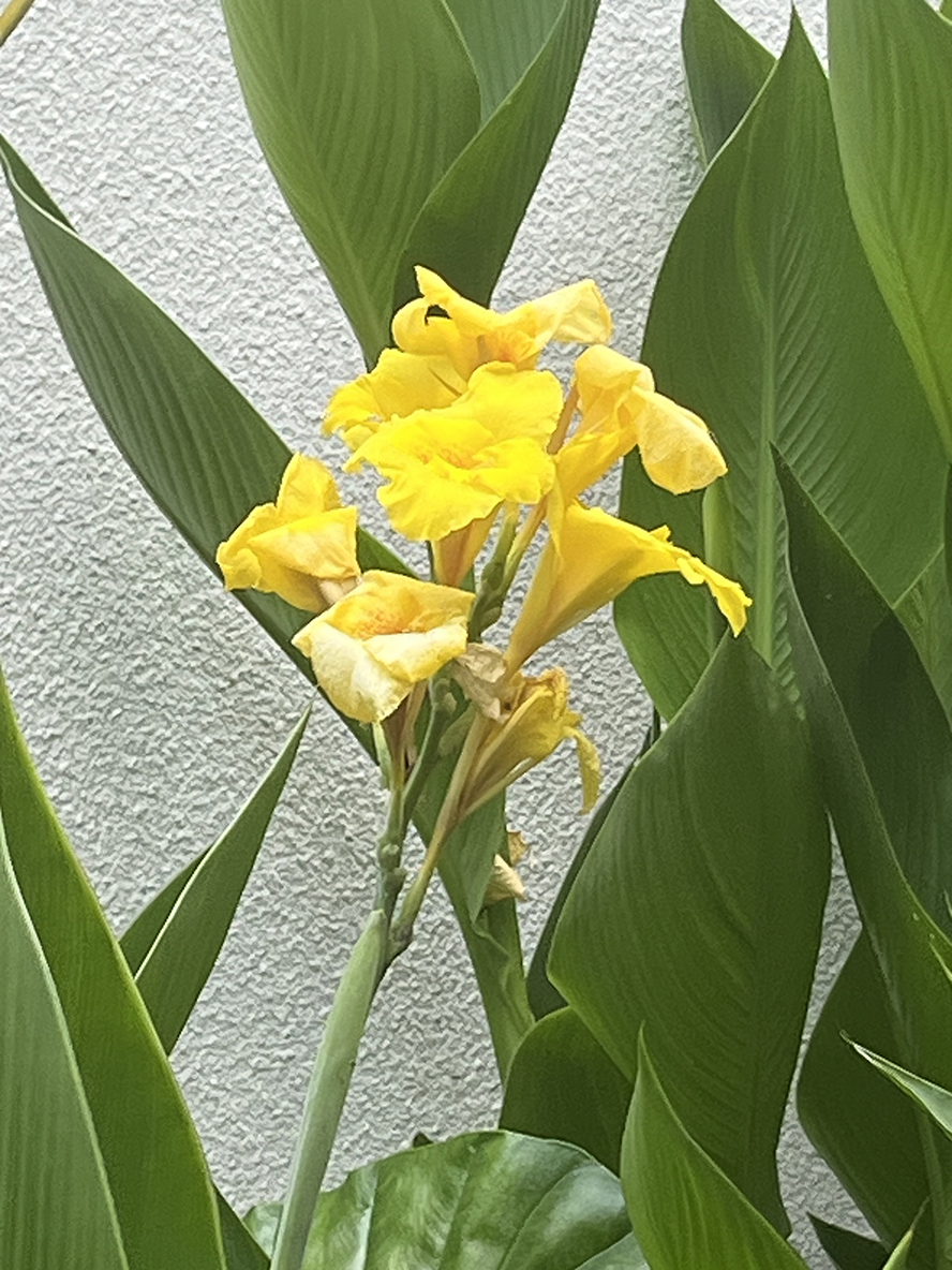 ΢��ͼƬ_20260605190353.jpg