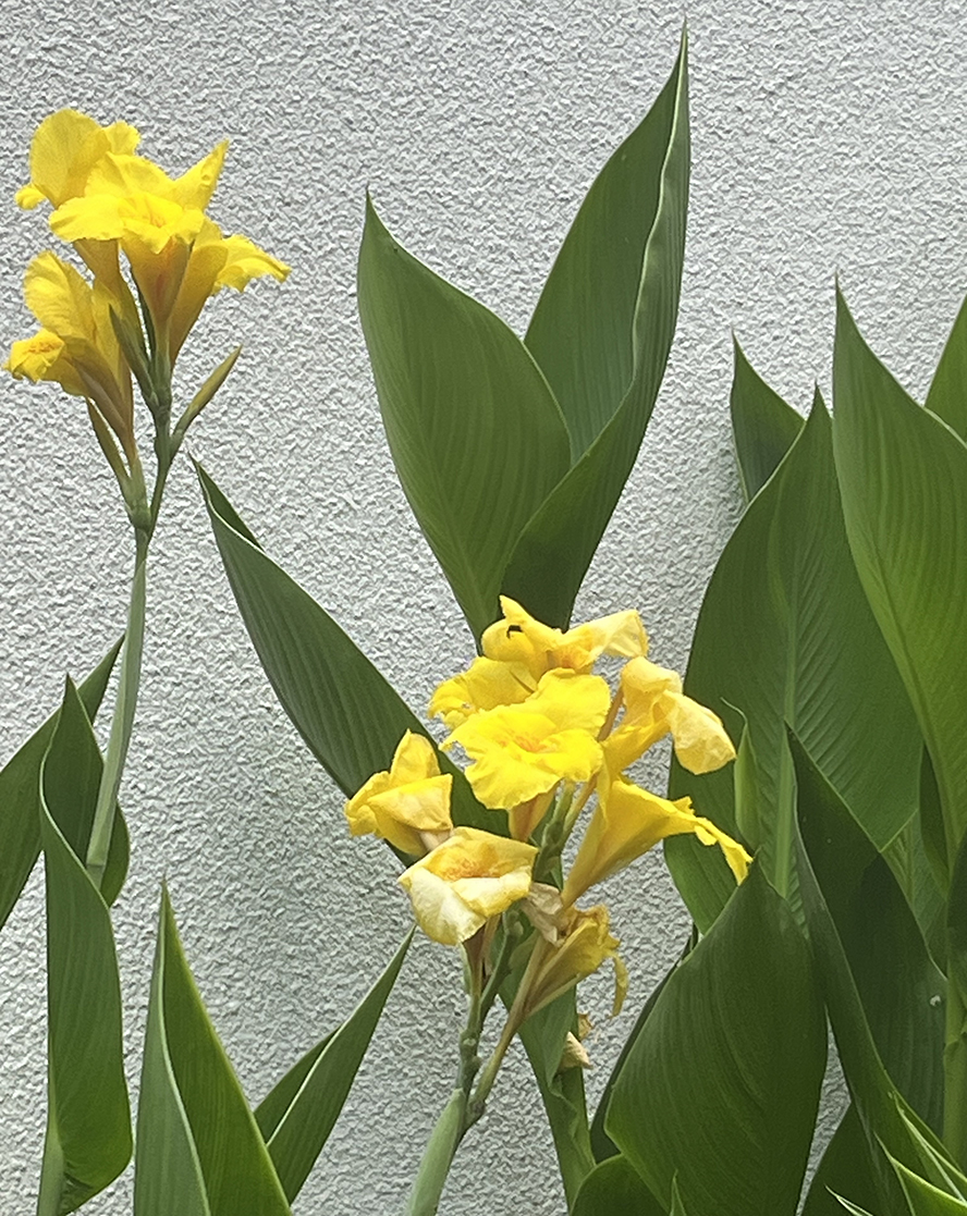 ΢��ͼƬ_20260605190354.jpg
