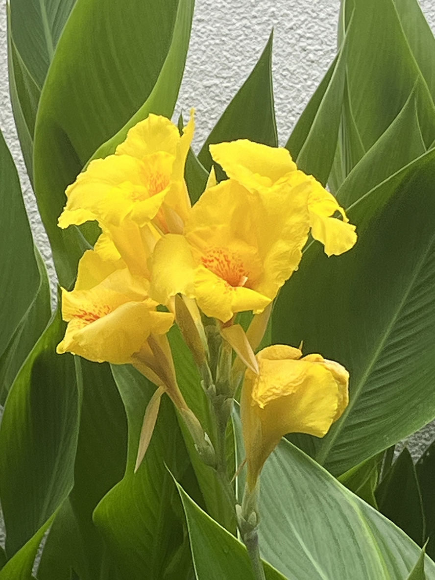 ΢��ͼƬ_202606051903531.jpg