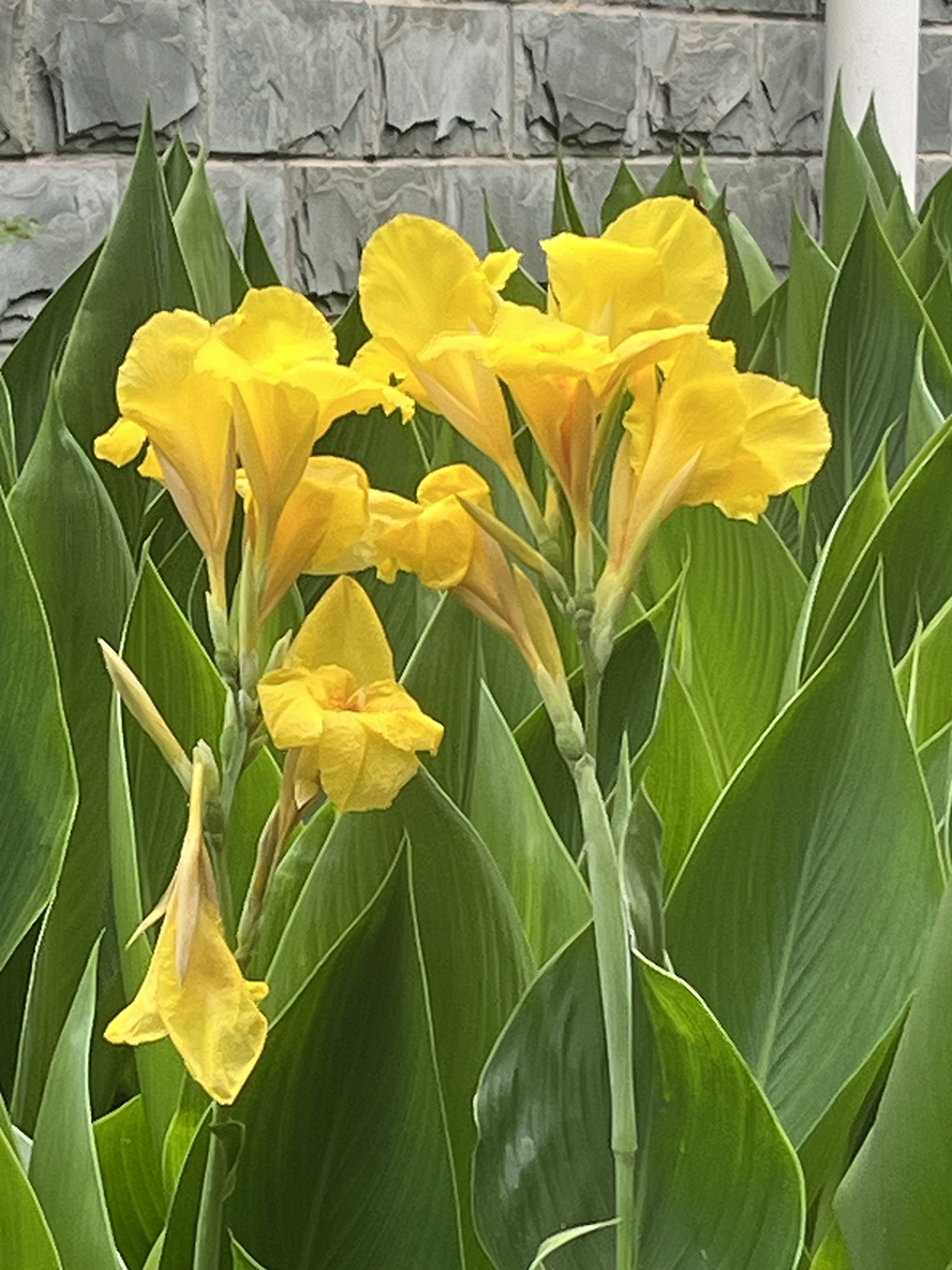 ΢��ͼƬ_202606051903532.jpg