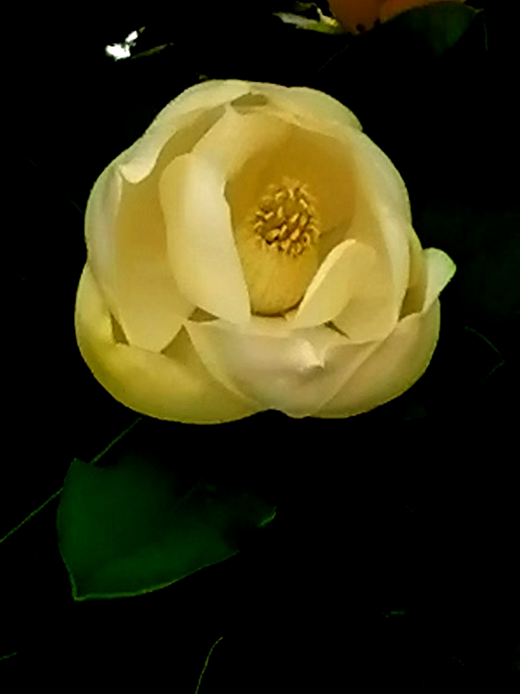 ΢��ͼƬ_20260604201351.jpg