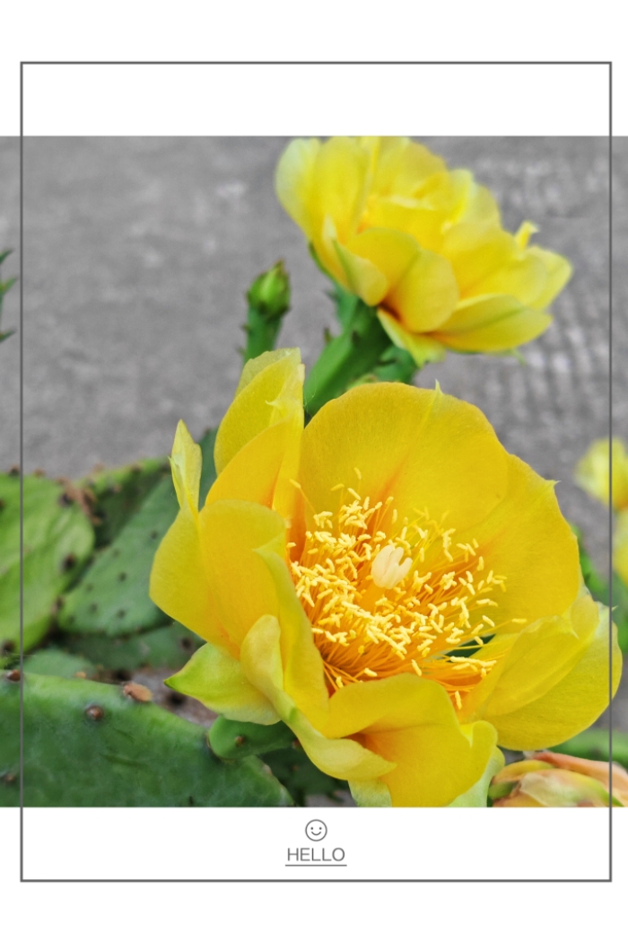 MEITU_20260605_192925297.jpg