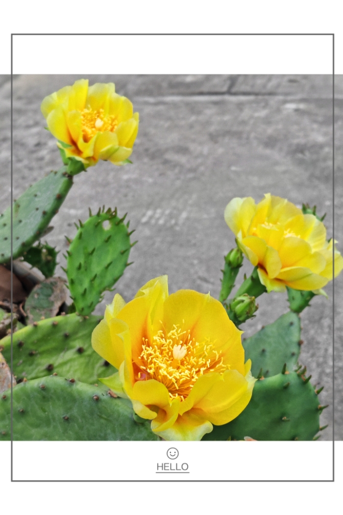 MEITU_20260605_192851453.jpg