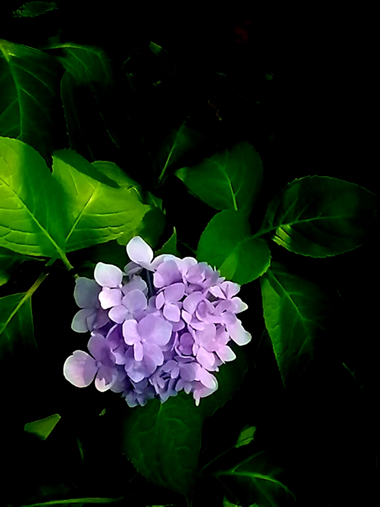 ΢��ͼƬ_20260604201359.jpg