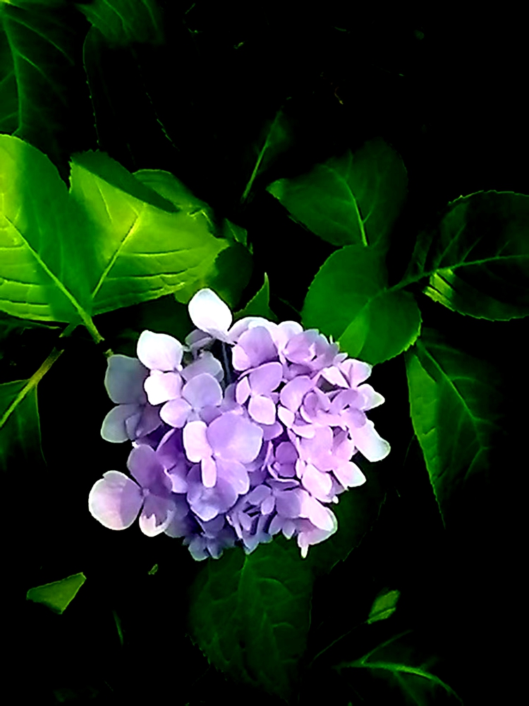 ΢��ͼƬ_20260604201403.jpg