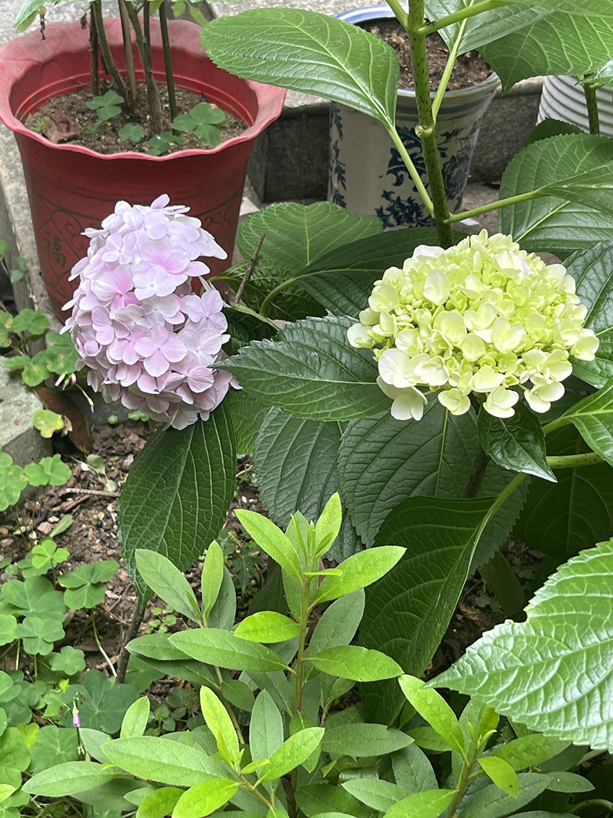 ΢��ͼƬ_20260606102412.jpg
