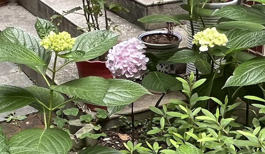 ΢��ͼƬ_20260606102418.jpg