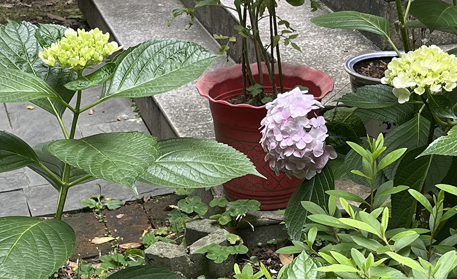 ΢��ͼƬ_20260606102411.jpg