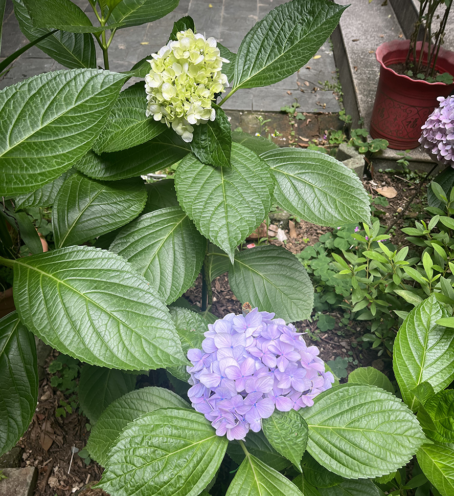 ΢��ͼƬ_20260606101307.jpg