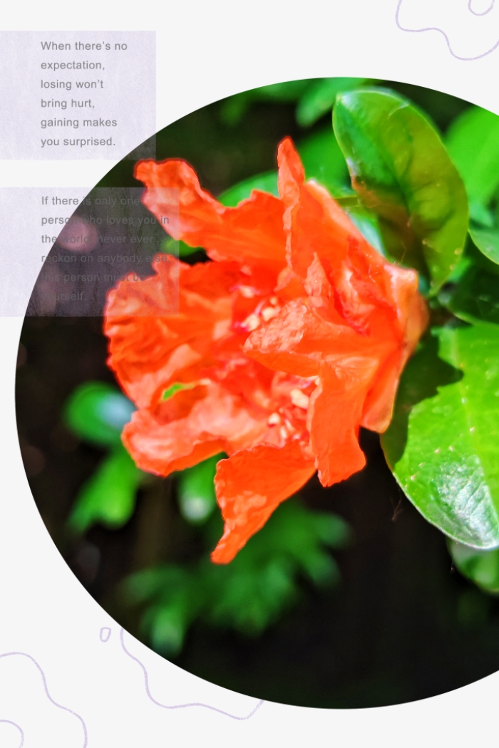 MEITU_20260606_151228014.jpg