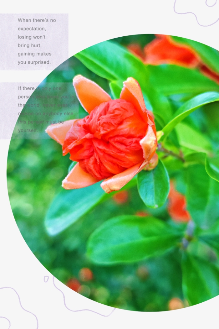 MEITU_20260606_151003979.jpg