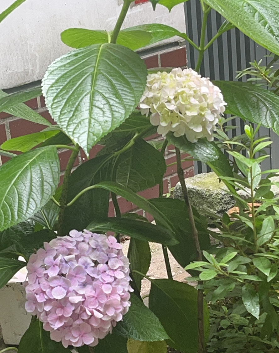 ΢��ͼƬ_20260606101320.jpg