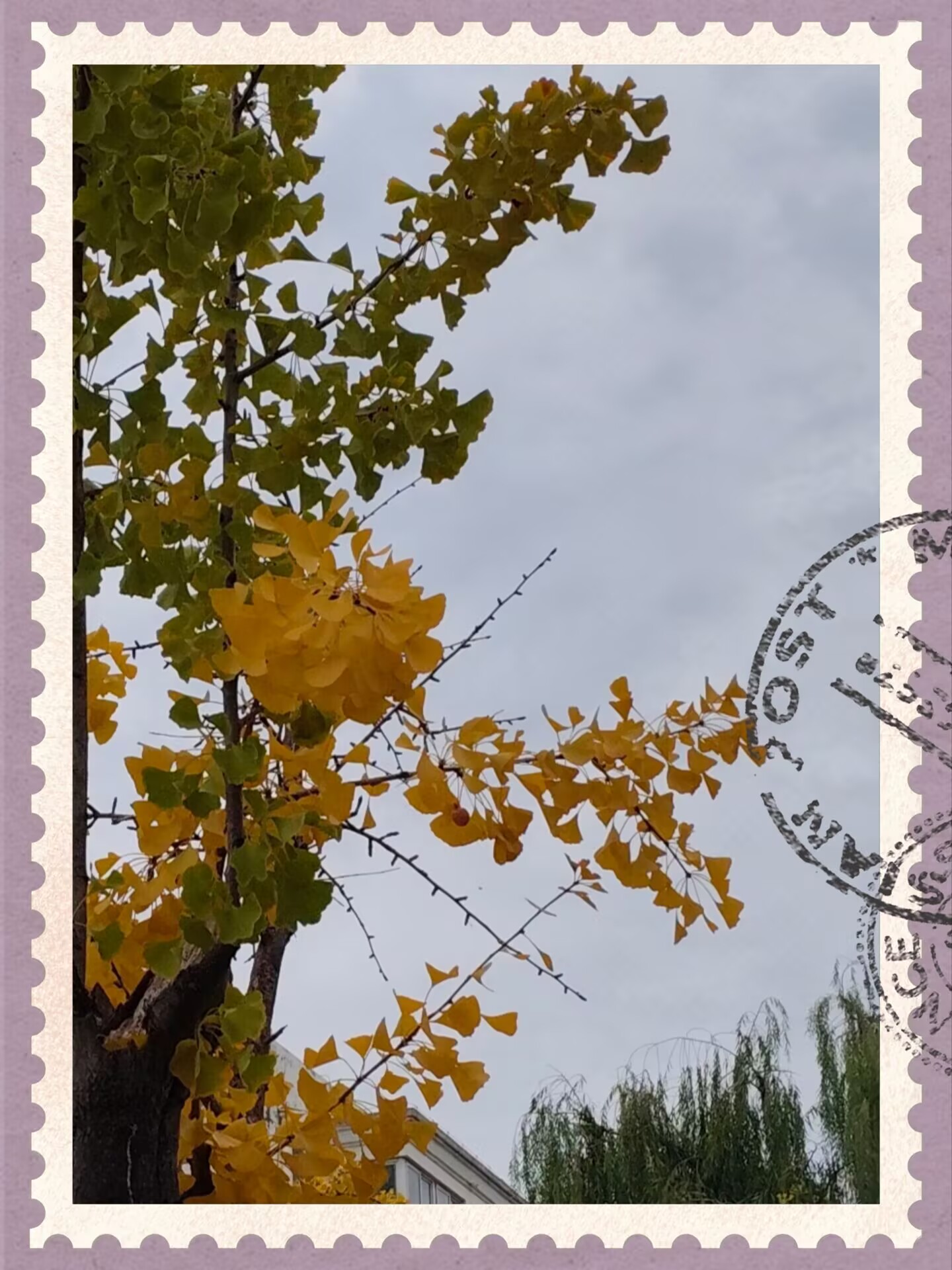 6CF0B934FB75E0604F2C7D9BC80EC388.jpg