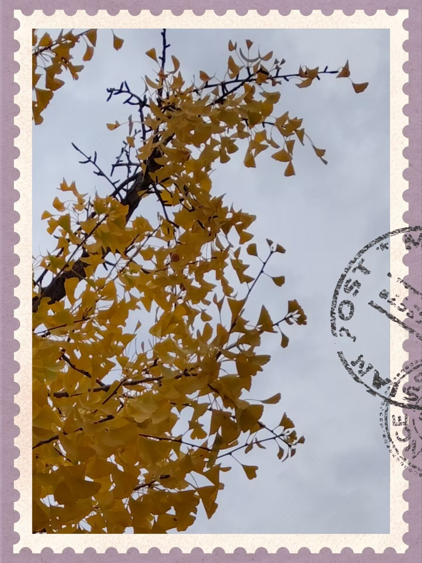 7792E934A63ADB9C7973621CAFB06D65.jpg
