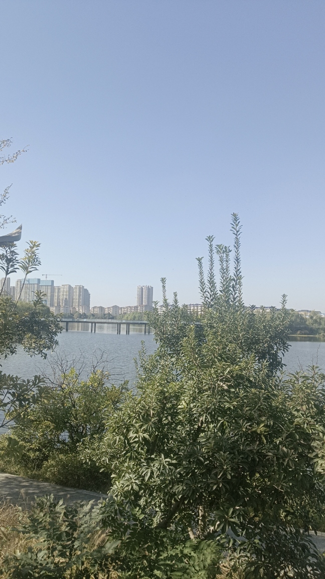 IMG_20260607_141143.jpg
