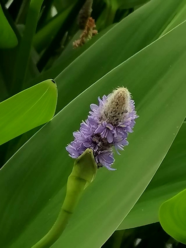 ΢��ͼƬ_20260606195033.jpg