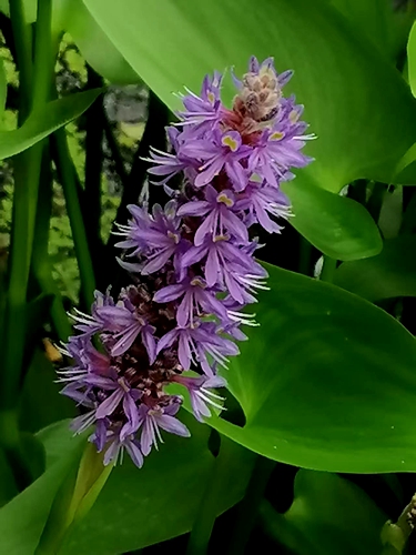 ΢��ͼƬ_20260606194827.jpg