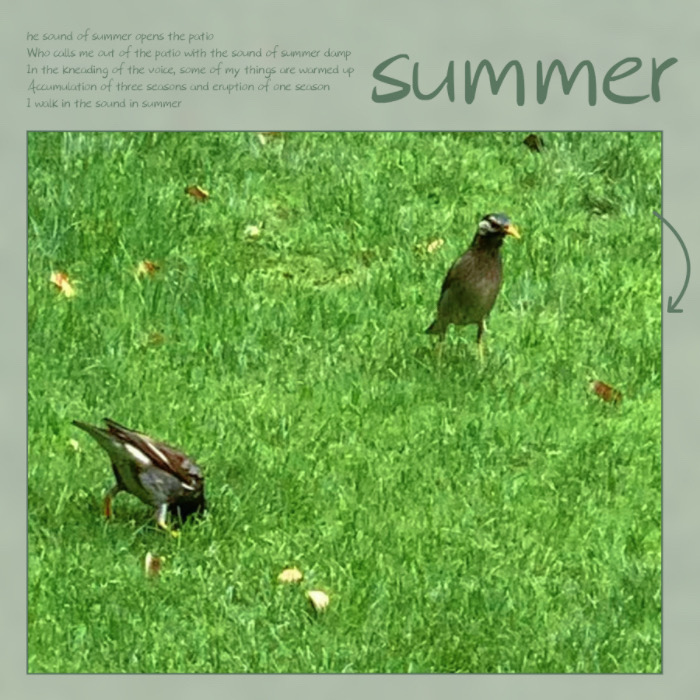 IMG_7593.jpeg
