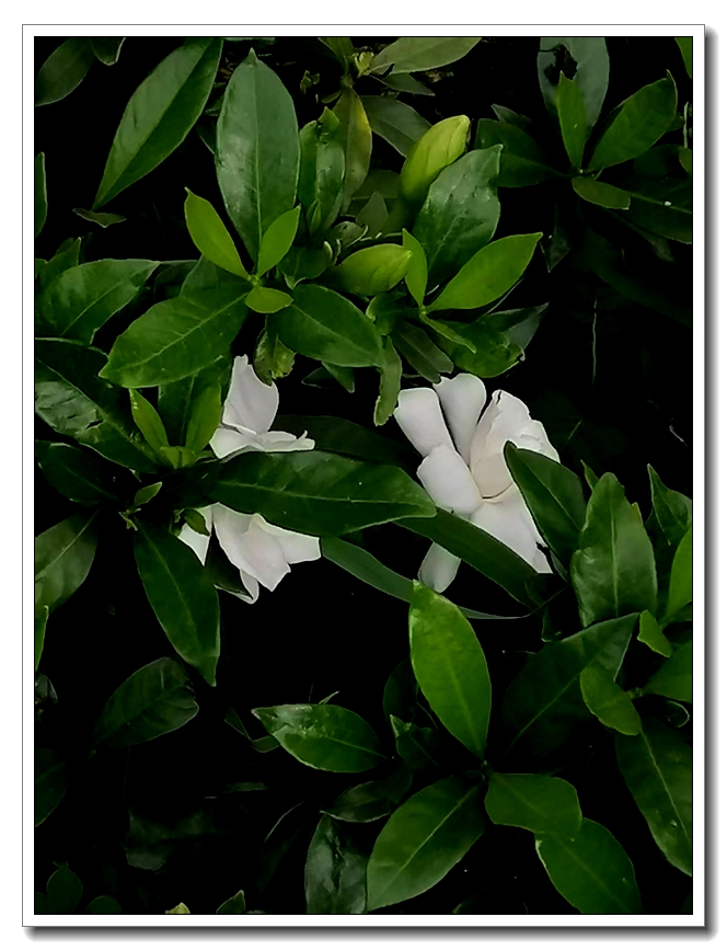 ΢��ͼƬ_20260606195418.jpg