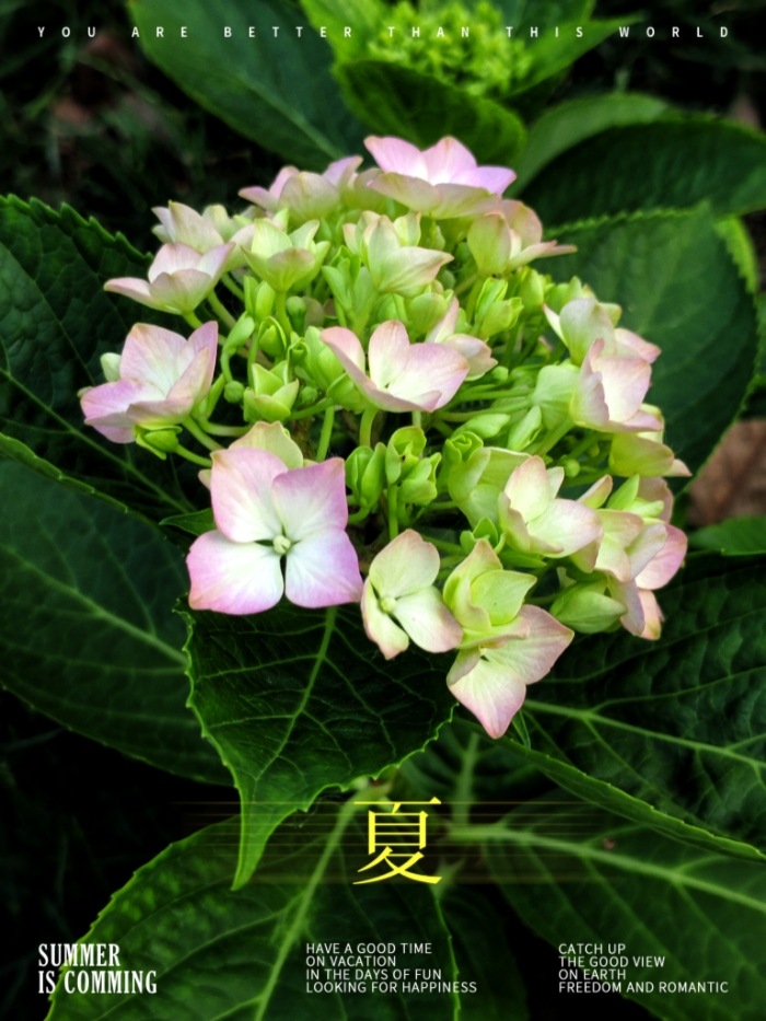 MEITU_20260608_173911853.jpg