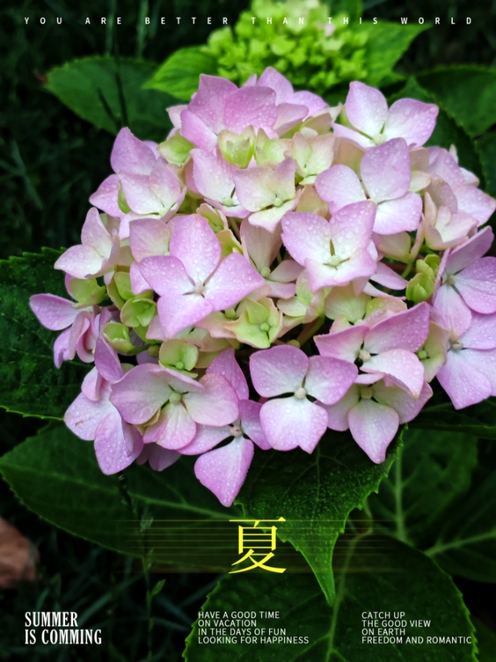 MEITU_20260608_173802773.jpg