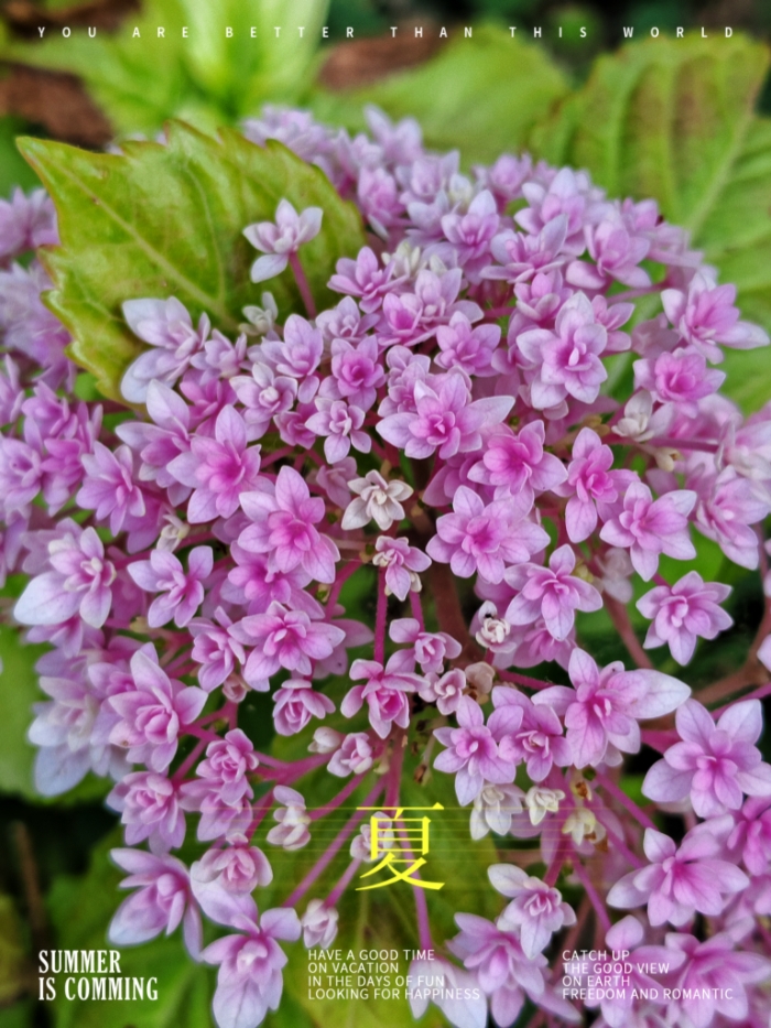 MEITU_20260608_174415124.jpg