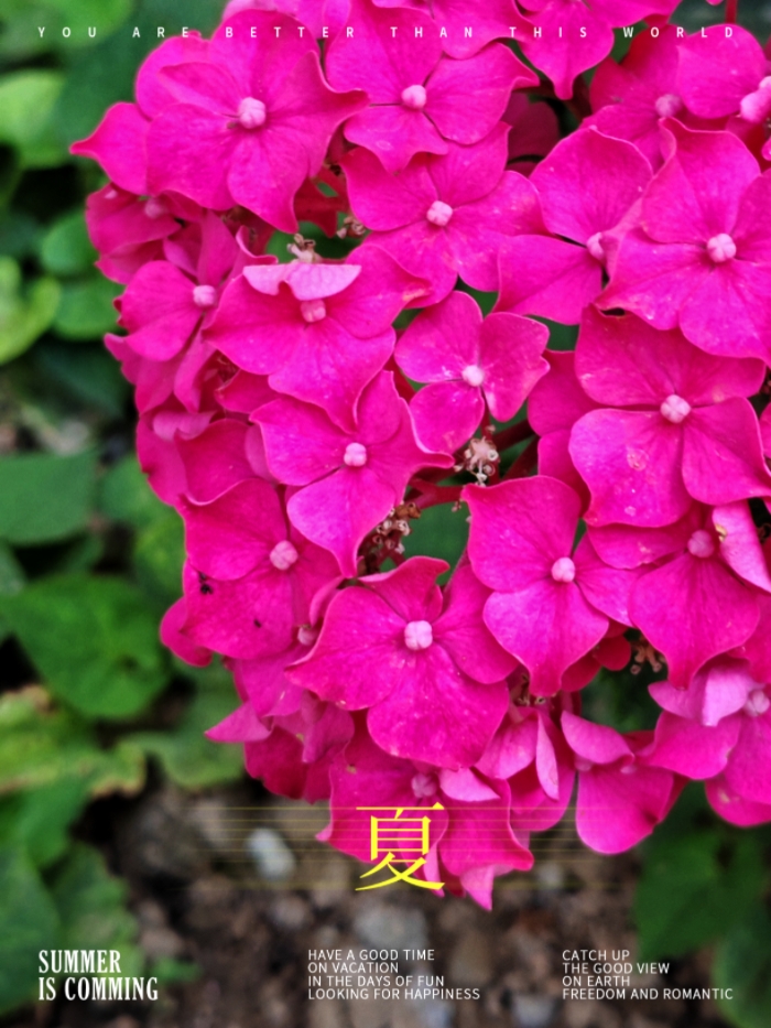 MEITU_20260608_174324362.jpg