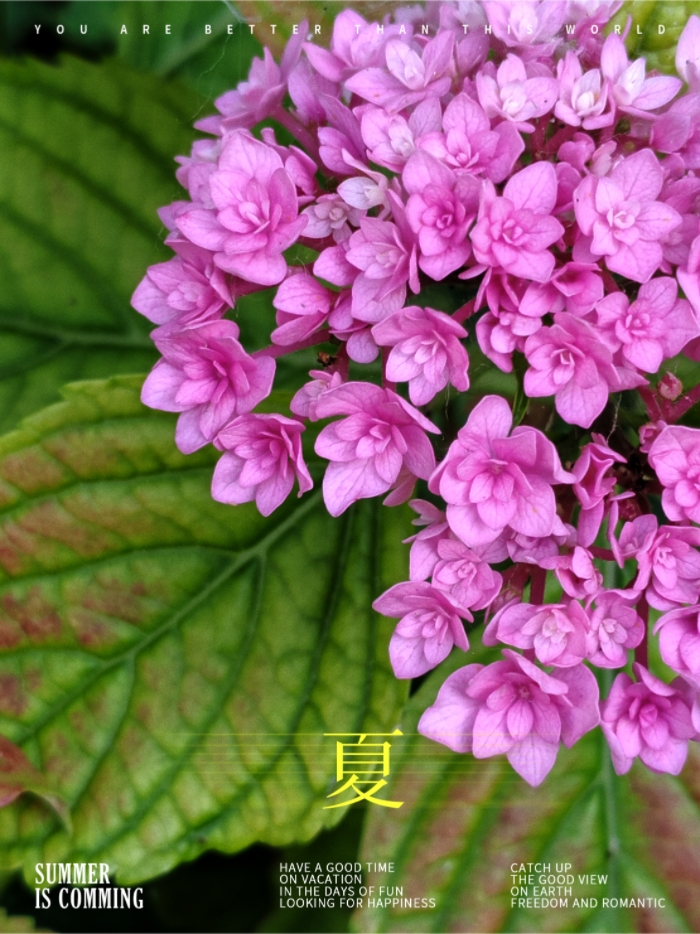 MEITU_20260608_174157785.jpg