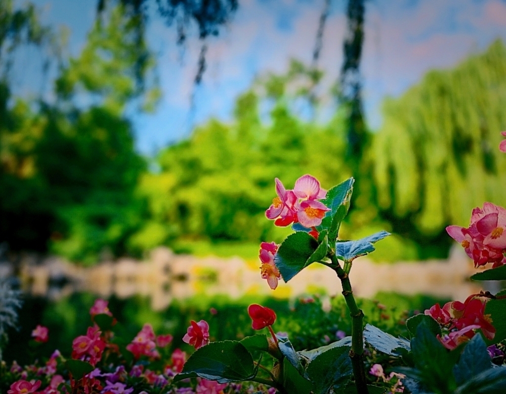 MEITU_20260609_134218538.jpg