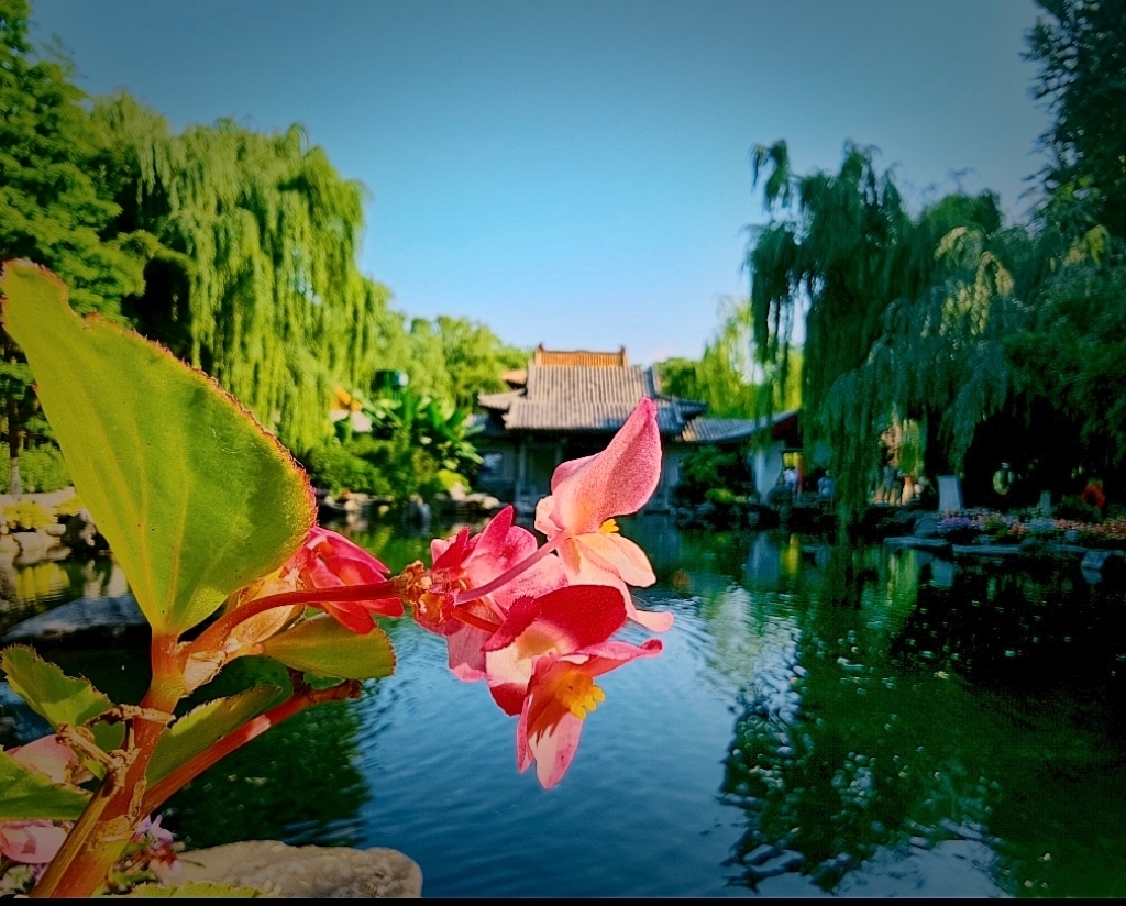 MEITU_20260609_134107344.jpg