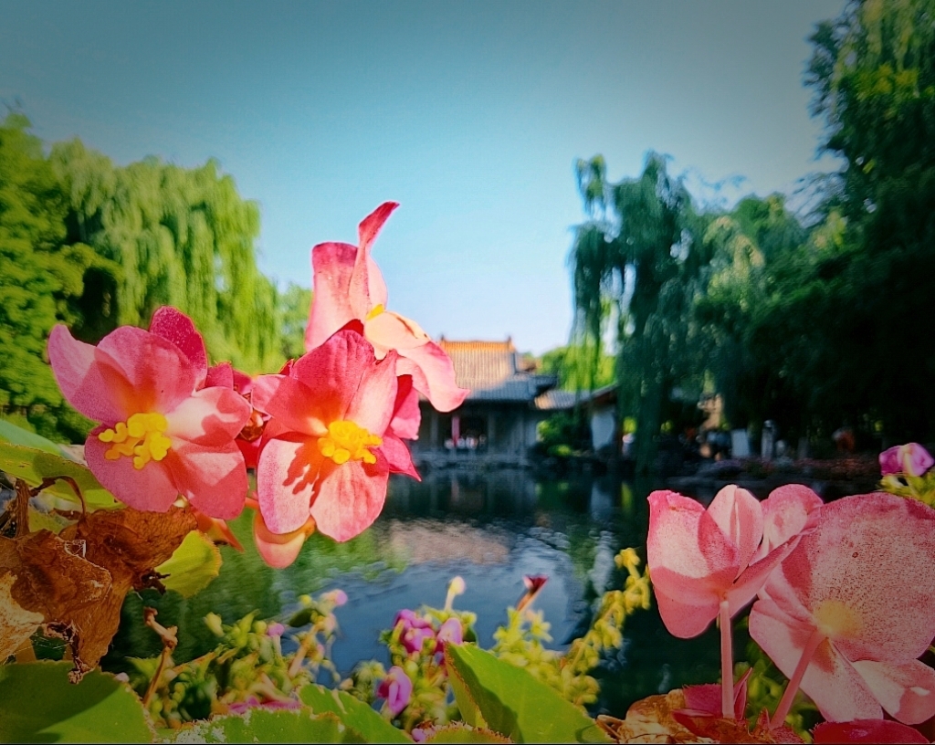 MEITU_20260609_134046475.jpg