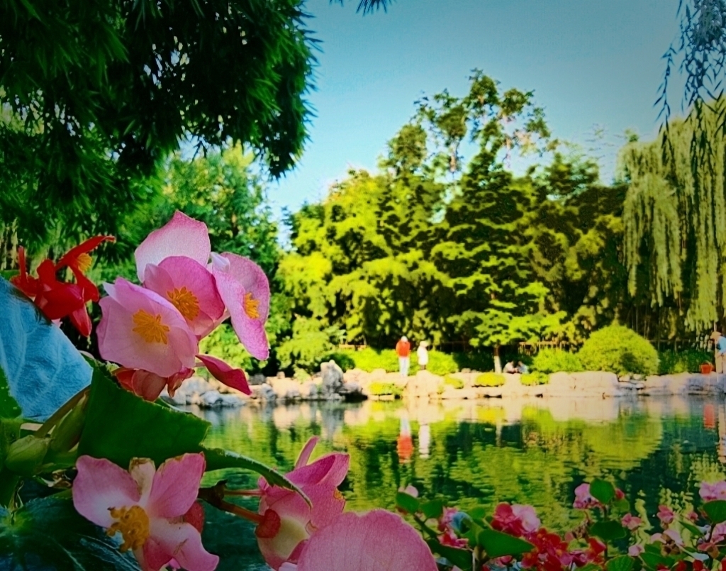 MEITU_20260609_134309074.jpg