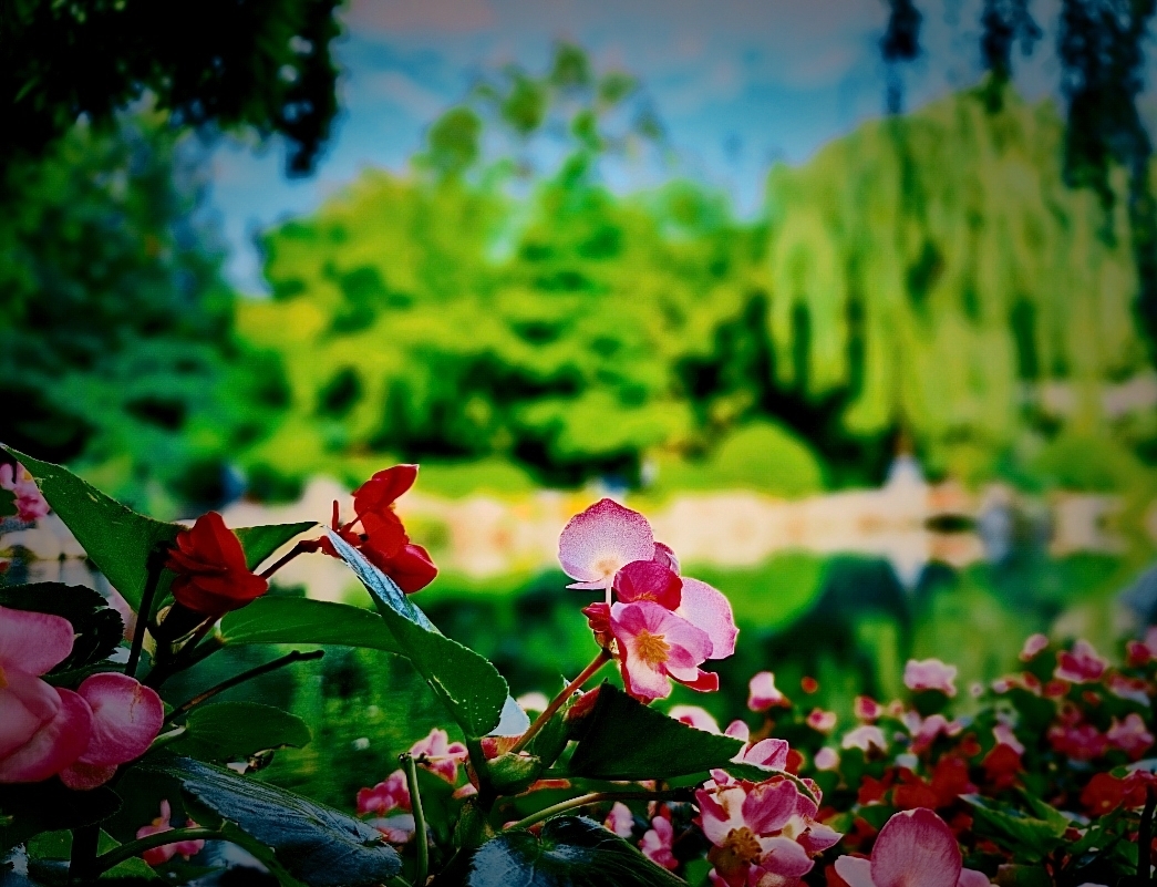 MEITU_20260609_125846265.jpg
