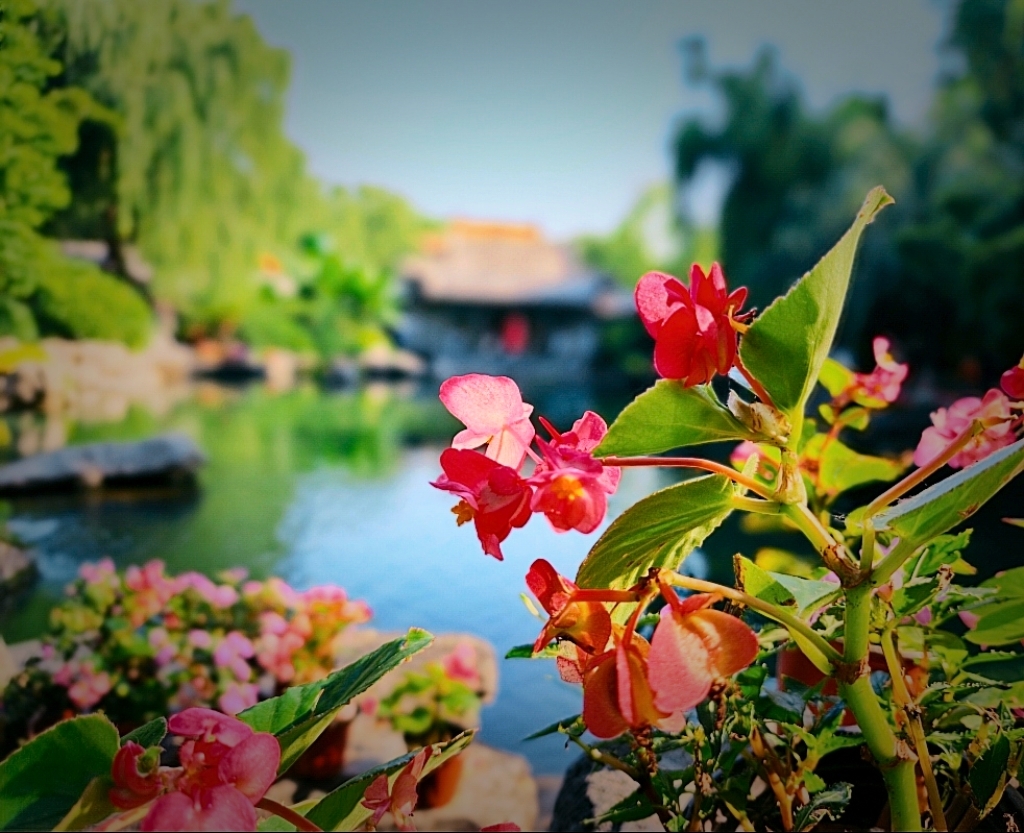 MEITU_20260609_134021798.jpg
