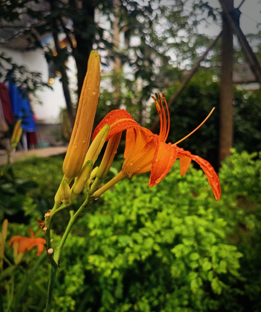 MEITU_20260610_070454886.jpg