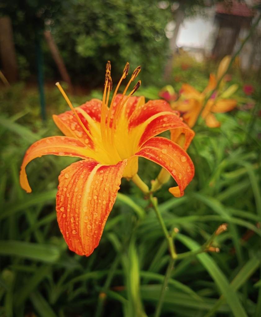 MEITU_20260610_070523861.jpg