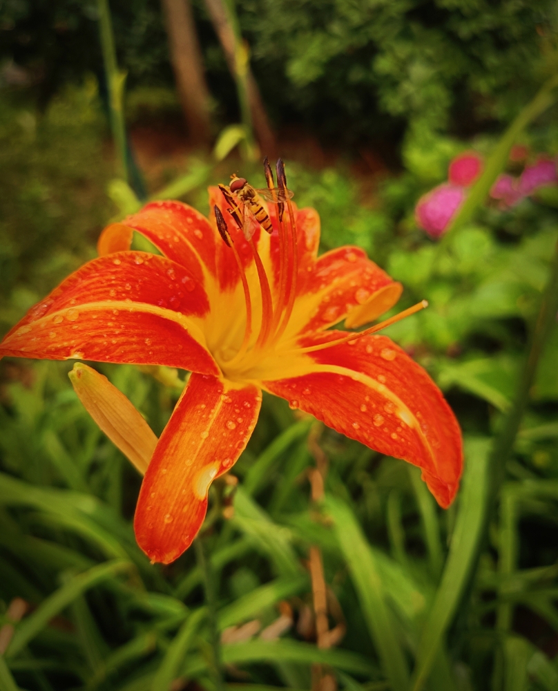 MEITU_20260610_071358782.jpg