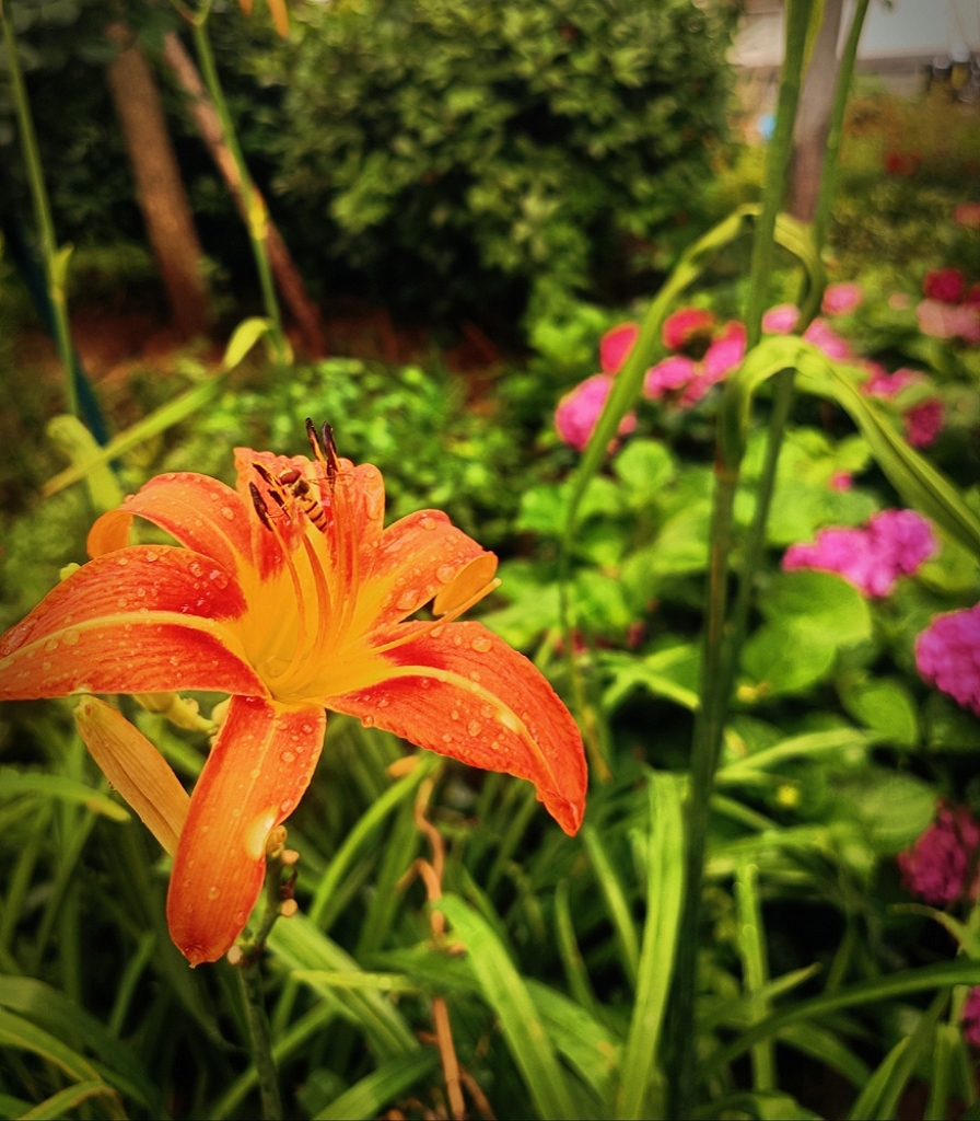 MEITU_20260610_070800797.jpg