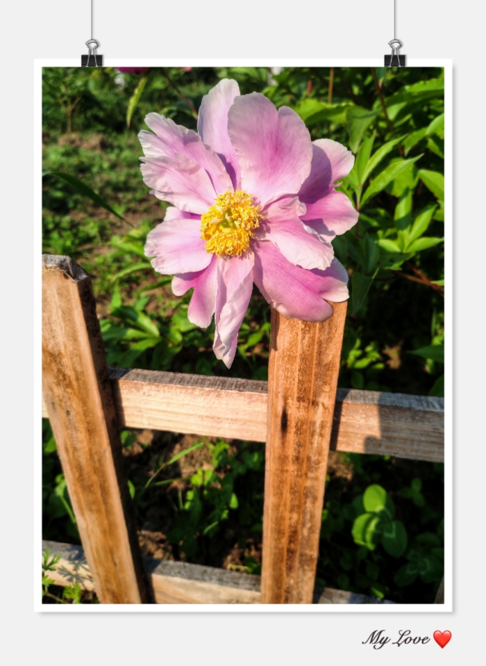 MEITU_20260610_122824200.jpg