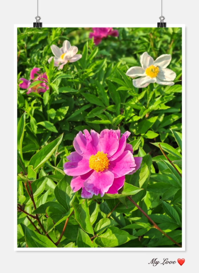 MEITU_20260610_122936788.jpg