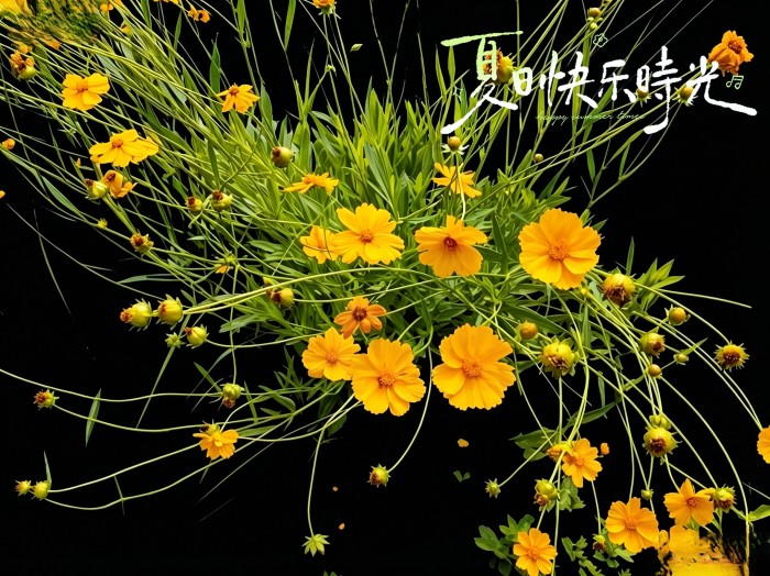 24a1ff8e91ddc720dcb8676a2ff34c84.jpg